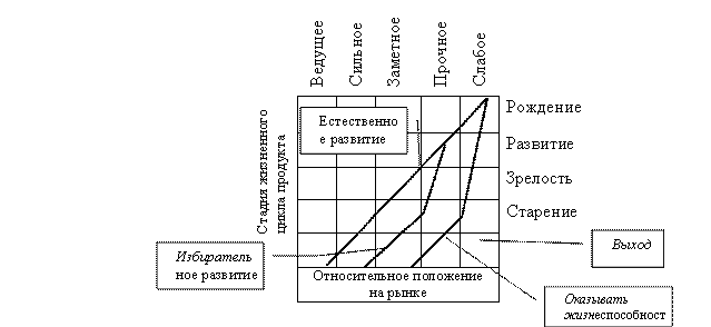 Анализ жизненного цикла отрасли (модель ADL/ LC)