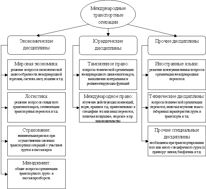 Место дисциплины «МТО» в разрезе прочих дисциплин